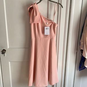 Gal a meets Glam Yvonne Rose Dress